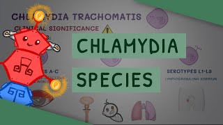 All You Need to Know About Chlamydia Species by ATP 26,034 views 1 year ago 7 minutes, 14 seconds