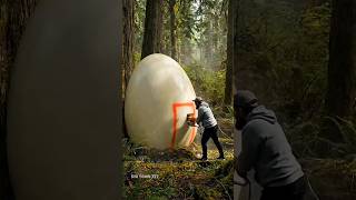 He Found a Giant Egg… What He Built Inside Will Shock You! 😱🥚