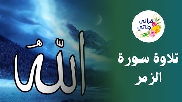 سورة الزمر بأروع التلاوات للشيخ عبدالرحمن برهام #قرآن #سورة_الزمر