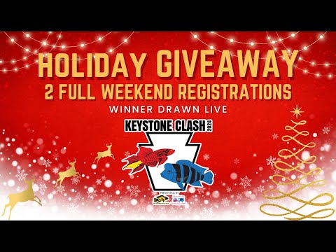 Holiday Registration Giveaway