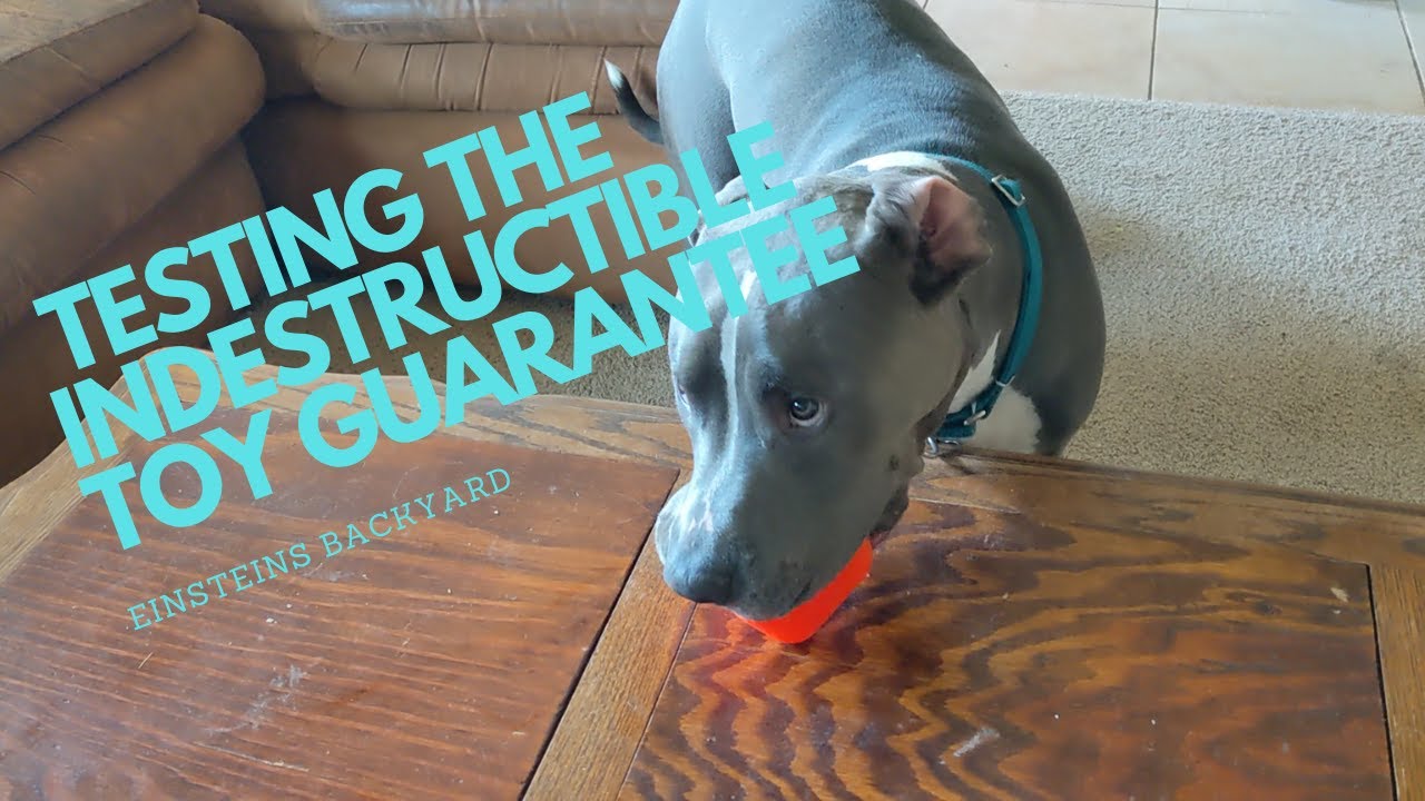 RUFF DAWG indestructible toy guarantee tested 