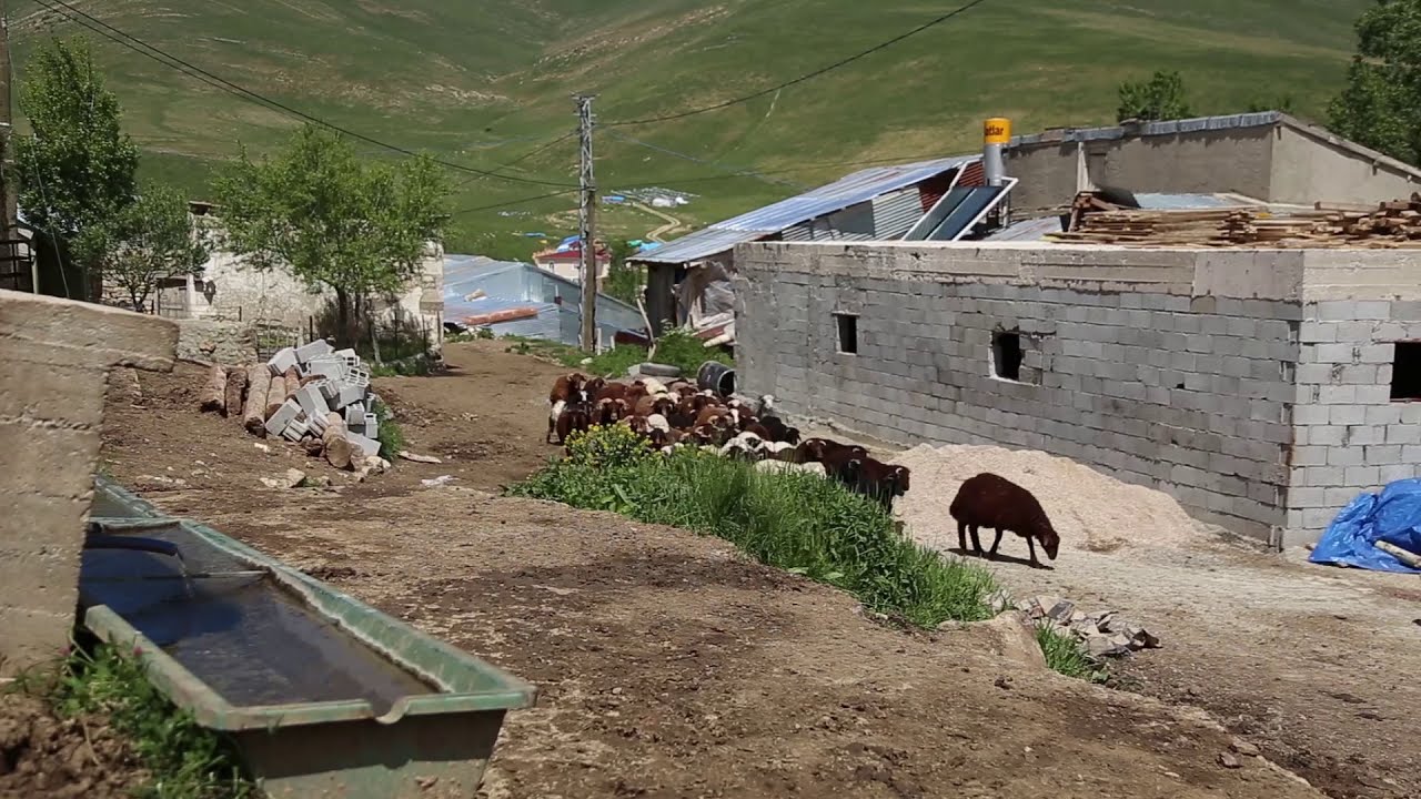 Erzincan Otlukbeli Avcıçayırı (Miskah)Köyü