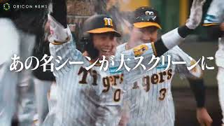 阪神タイガース、38年ぶり優勝までの軌跡に迫る！岡田監督、平田ヘッドコーチらが“アレ”の瞬間を振り返る　ドキュメンタリー映画『阪神タイガースTHE MOVIE2023-栄光のARE-』ティザー予告映像