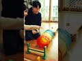 "Can this tiny puppy finish the obstacle course? 🐶🏆"