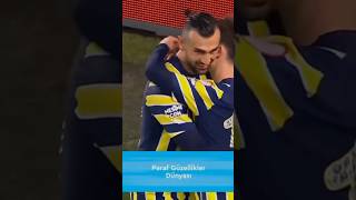 Y O U K İ N G S A R D A G Ü L E R