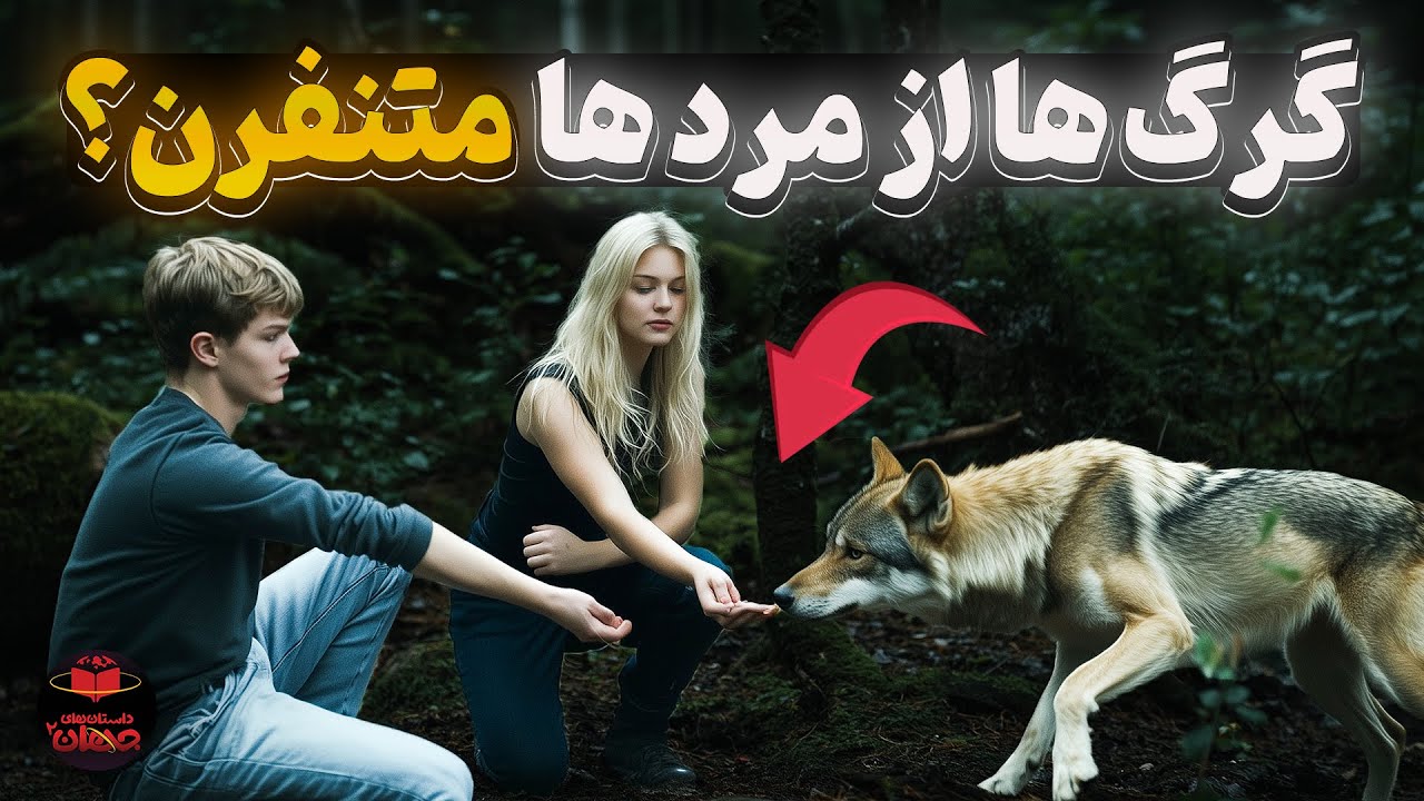 گرگ‌ ها چرا بعضی آدم‌ ها رو خطرناک می‌دونن؟