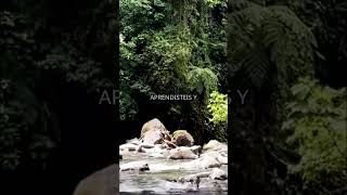 Escucha la Palabra de Dios #viral#videos#paratiiiiiiiiiii#aprende#persevera#sigue#avanza#motivacion#