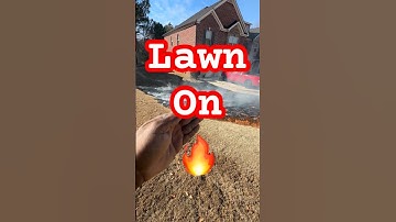 Should you burn your BERMUDA GRASS LAWN?