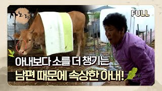 [사노라면] (full영상) 소 때문에 울고 웃는 노부부의 사연!