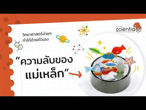 ความลับของ แม่เหล็ก l ทดลองวิทยาศาสตร์ l Scientia ความลับของ แม่เหล็ก l ทดลองวิทยาศาสตร์ l Scientia