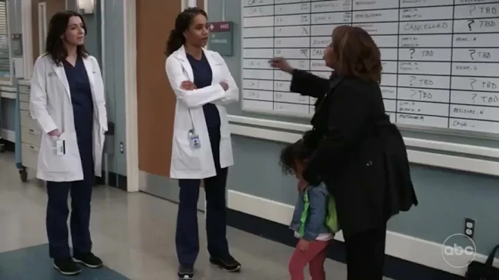 Amelia, Maggie and Bailey | Grey's anatomy season ...