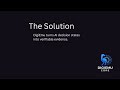 DigiEmu: Deterministic Decision-State Verification for AI Governance