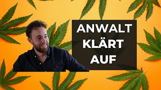 Cannabis, Legalisierung, Führerschein und MPU