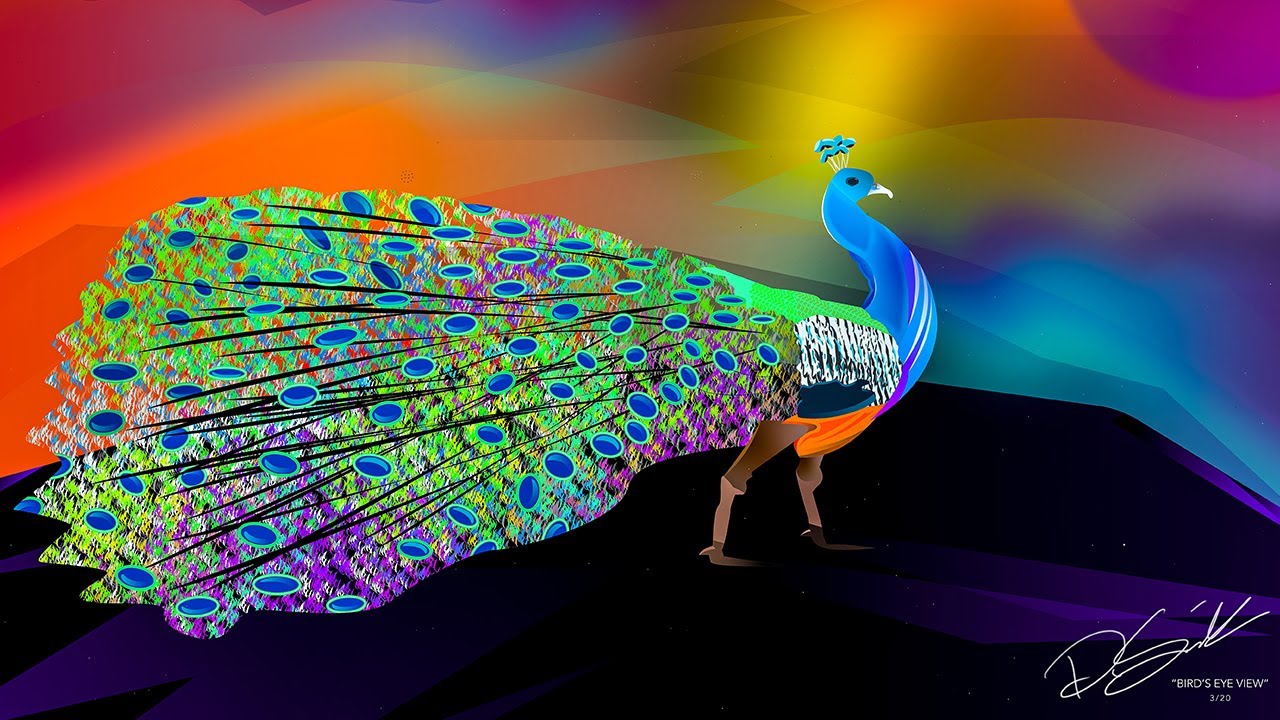 Bird's Eye View | Peacock Speed Art 🦚 - YouTube