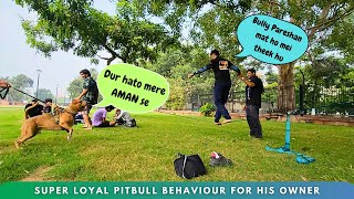 Pitbull ka Pyar😍 bhi Khatarnaak👹 gussa👺 bhi Khatarnaak | Aman and bully ki Jodi 🫂
