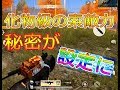 【荒野行動　知らないと損する】索敵のコツと索敵力を上げる設定を公開！　索敵力上がりすぎじゃない？ｗｗ