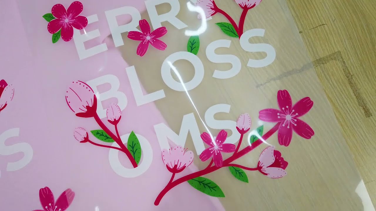 PET FILM DTF PRINTING - Epson L1800 A3 DTF Printing