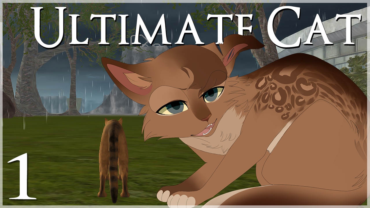 Ultimate Cat Simulator - Apps on Google Play