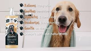 Bugalugs Oatmeal Shampoo