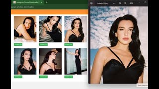 How To Download Dua Lipa Instagram Photos Instadp.info