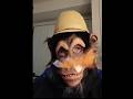 butter brain @madmusicianmagician #butterfly #chimpanzee #glockenspiel  #monkeyfingers #guitar