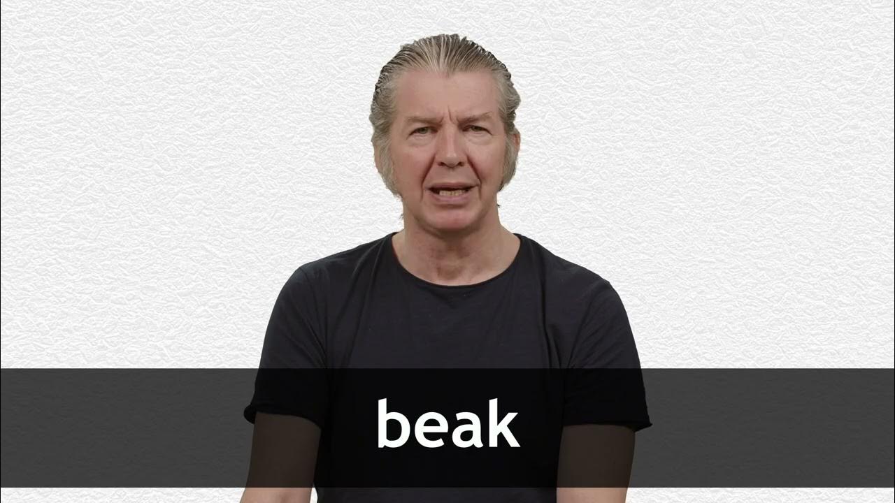 How To Pronounce BEAK In American English YouTube how-to-pronounce-beak-in-american-english-youtube