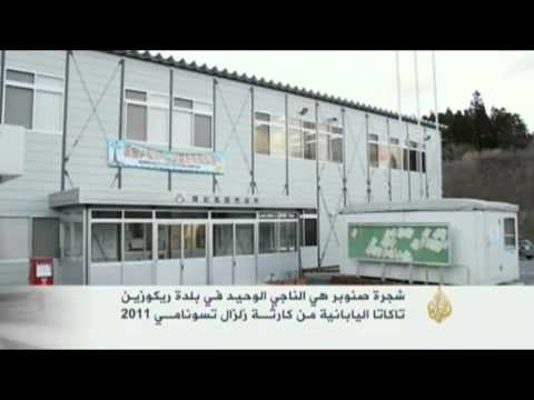 الناجي الوحيد من تسونامي بلدة ريكوزين تاكاتا