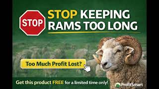 When Should You Replace a Ram? (FREE Profit Calculator for Sheep Farmers)
