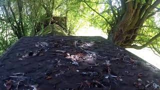 RAF Acaster Malbis Dispersal Site