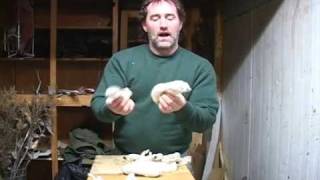 Weasel Trapping 40 Cents and a Weasel Gary Schumann