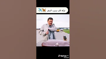 ترك الرجل الكلب بسبب السفر مقطع مؤتر 