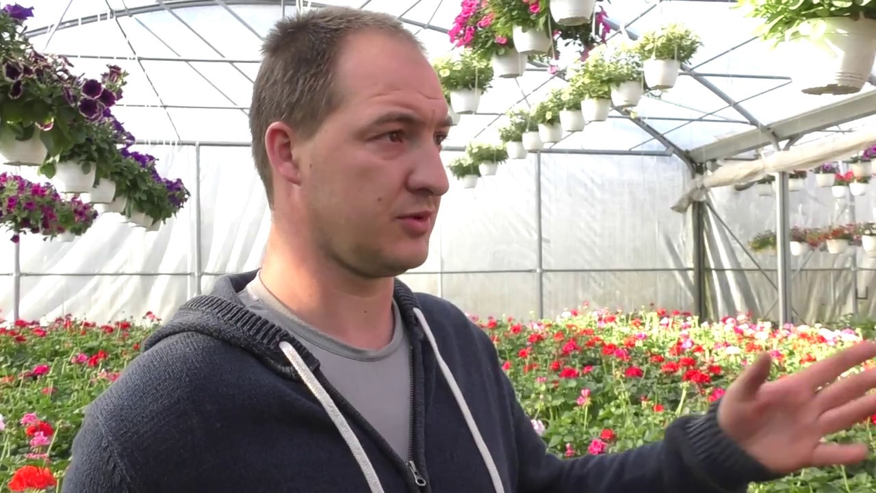 Interviu Producător Flori Din Viișoara Levente Ferencz 20 04