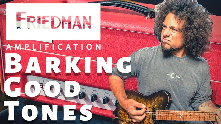 Friedman Jake E Lee Signature Amplifier | It Sound...
