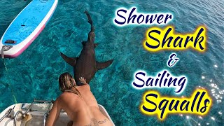 SDA110 Shower Shark & Sailing Squalls