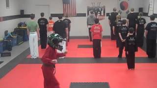 Next Level Sport Karate Harlem Shake