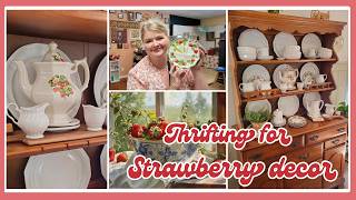 Decorating My Mobile Home Kitchen with Thrifted Strawberry Finds 🍓  Talosbo C1 Pool Vac
