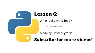 Lesson 6: What is the while loop? Net Worth