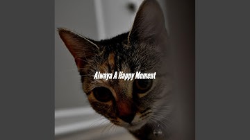 Pulsating Piano Jazz - Vibe for Chilling the Details