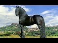 Cel mai faimos armasar frizian  🐎