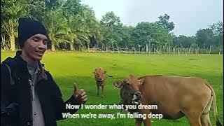 noui - everytime we fall video clip lyrics