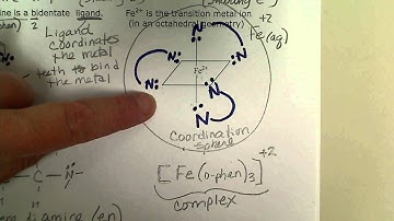 Coordination Chemistry - Transition Metal (Ion) Complexes