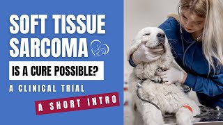 Canine Soft Tissue Sarcoma Trial  A Short Intro