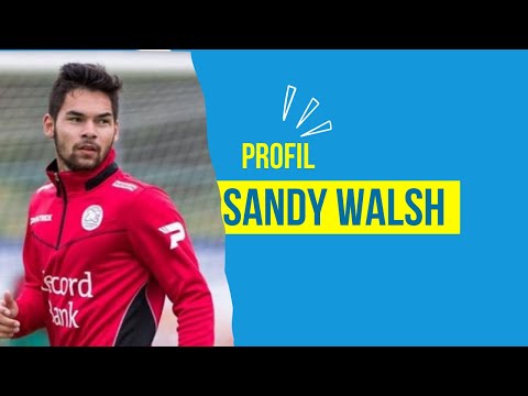 iontogel x 8055slots - Profil Sandy Walsh, Pemain Naturalisasi Indonesia