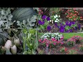 Cuidando Del Jardín Ya Tenemos Sandías +🍅🌶 Garden Tour