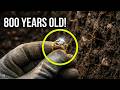 Rare Medieval Gold Ring Uncovered In Tønsberg Excavation 