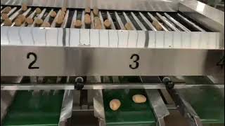 onion and  potato sorting machine and mango and dragon fruit grading machine