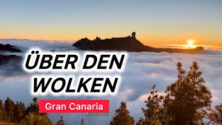 Kostenloser Campingplatz mit phänomenaler Aussicht 🤩 Corral de los Juncos | Gran Canaria Tour #14