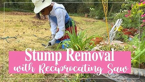 EASY Stump Removal Using A Reciprocating Saw!