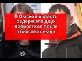 Задержали двух подростков в Омской области,  после убийства семьи.