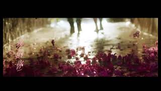 Summer Flower 言承旭Jerry